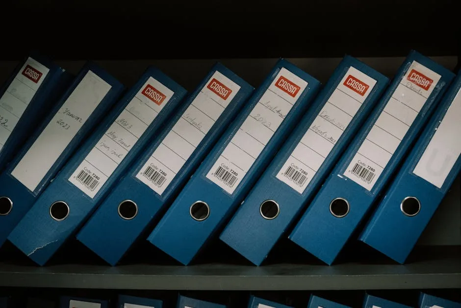 Что такое PDF/A и для чего он нужен? — Цифровое архивирование: всё по делу